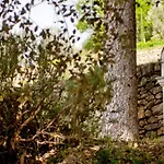 Le Couvent Des Minimes, Un & L'occitane En Provence