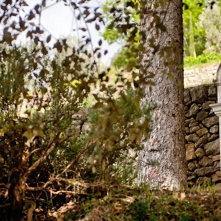 Le Couvent Des Minimes, Un Hôtel&spa L'occitane En Provence